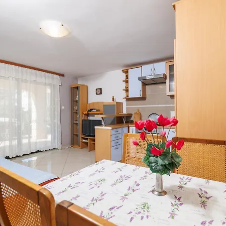 Apartamento Dragan *